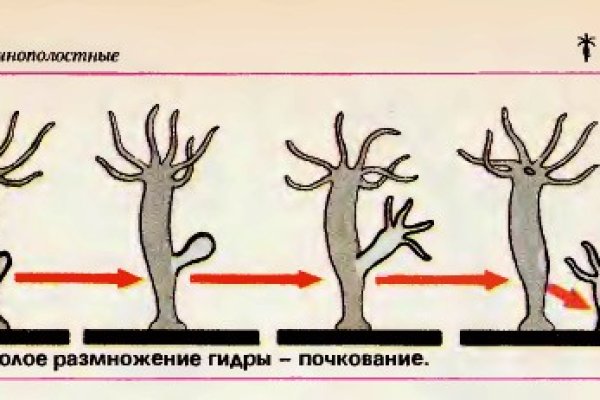 Кракен онион kraken014 com